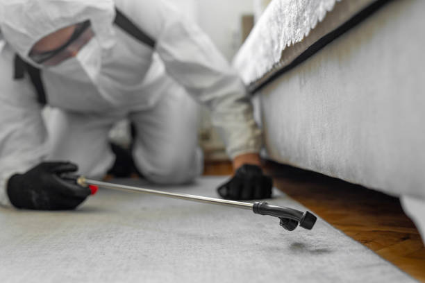Professional Cockroach Control technician working in Manteno, IL