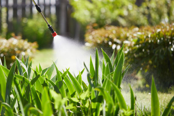 24/7 Emergency Cockroach Control experts in Manteno, IL