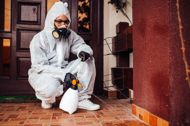 Reliable Cockroach Control contractor in Manteno, IL by Nex Pest Control