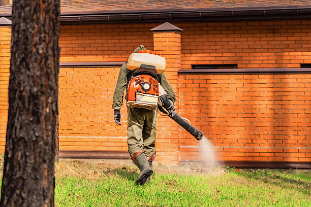 Trusted Bed Bug Control service in Manteno, IL - Nex Pest Control